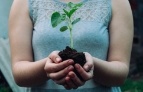 Person holding a plant